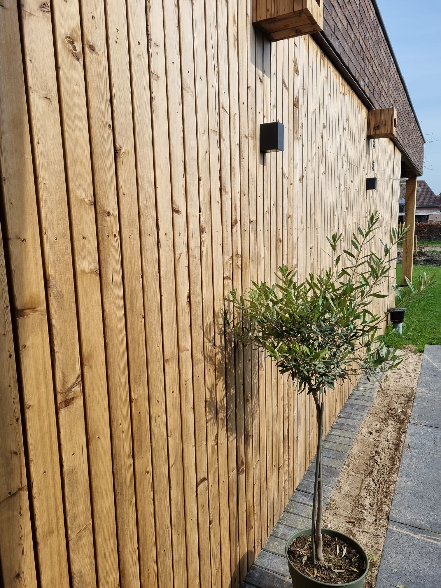 Thermo Vuren - Board - 20x68 mm - Afbeelding 5