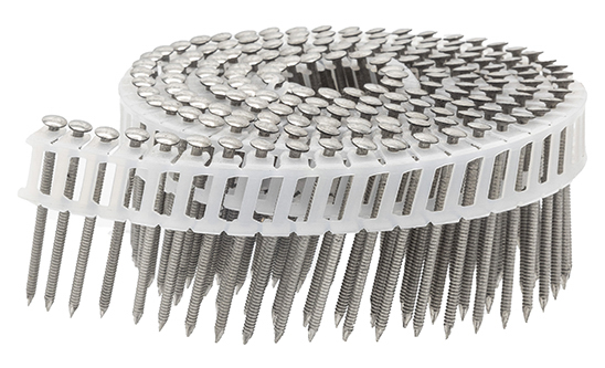 Ringnagels Platkop op band