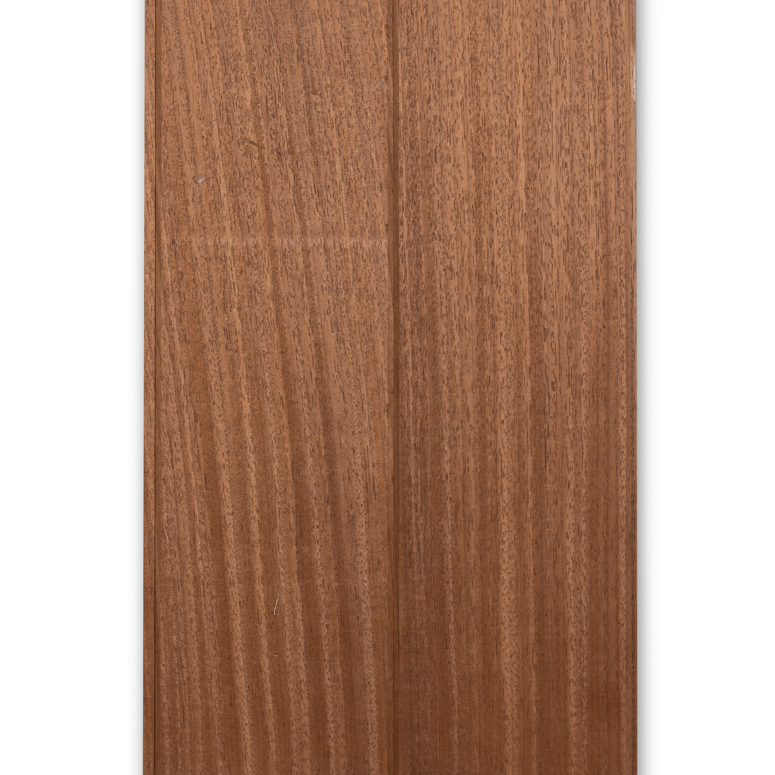 Thermo Ayous - Planchet - 14x145 mm (130) - Afbeelding 3