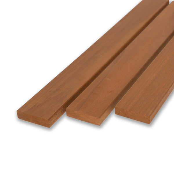 Thermo Ayous - Board - 18x68 mm